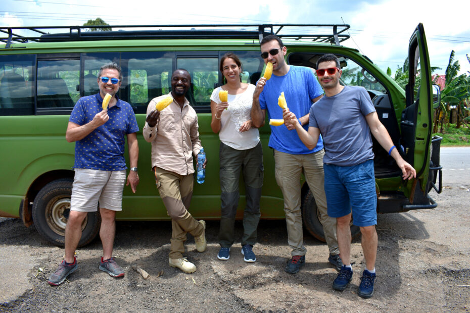Best comfortable safari vehicles you can hire in Uganda for a trip
