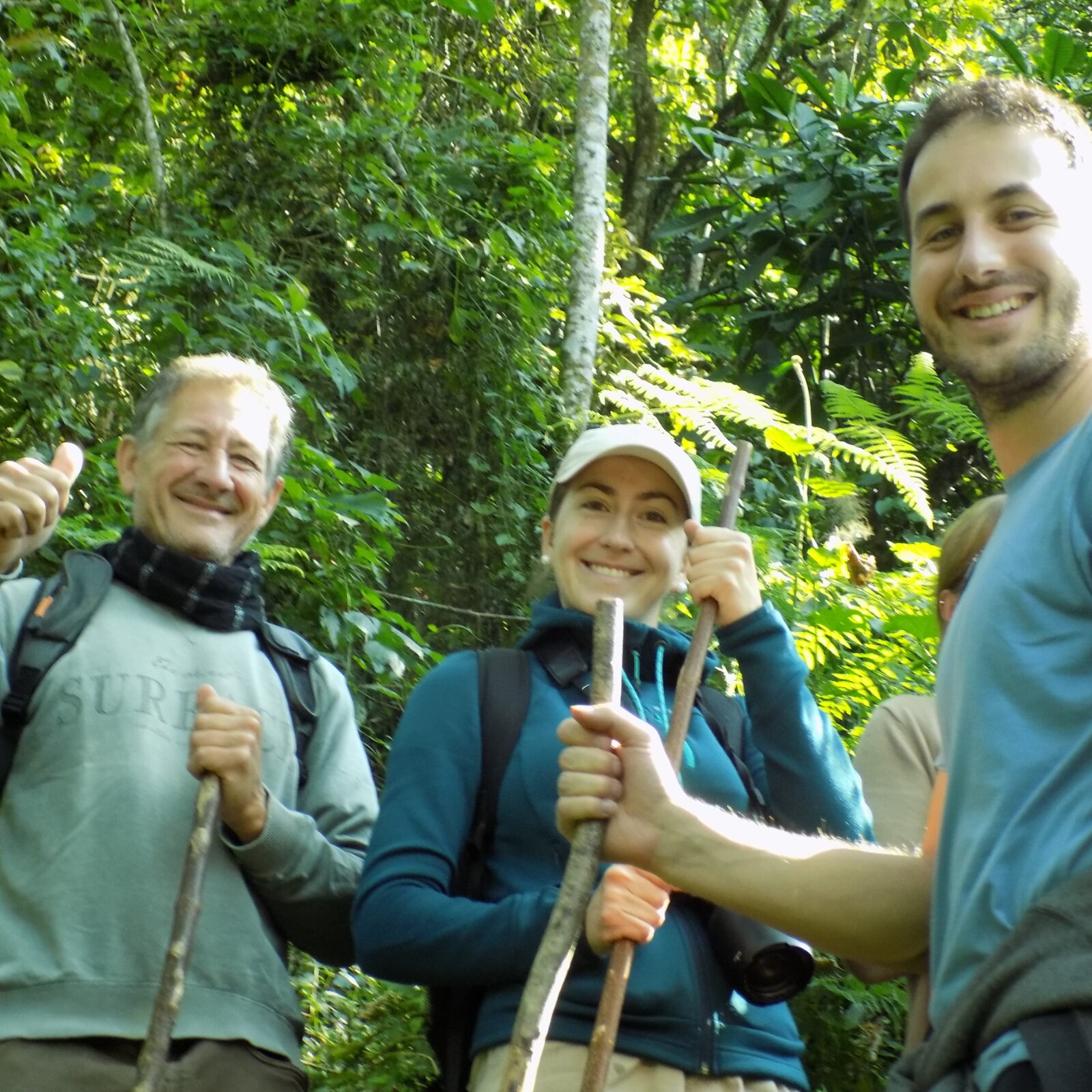 gorilla trekking experience