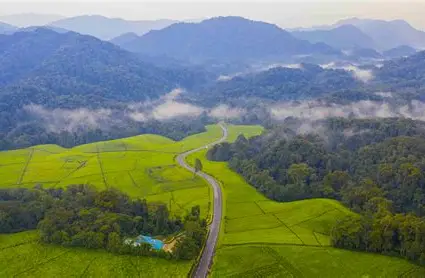 Rwanda holiday guide