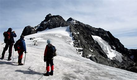 safari in Uganda- hiking the rwenzori