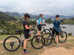 {{brizy_dc_image_alt entityId=