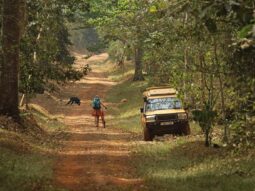 {{brizy_dc_image_alt entityId=